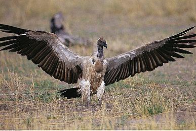 我国科考队成功登顶世界第六高峰“卓奥友峰” 将架设自动气象站