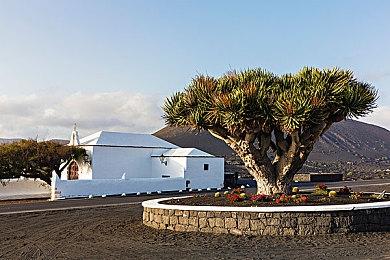 开放世界骑行《Parcel Corps》XSX＆S推出限时试玩Demo