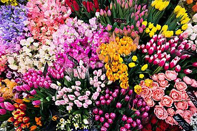 推理游戏《尼罗河上的惨案》公布 2025年发售